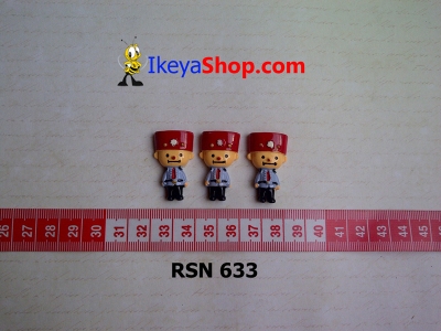 rsn 633  large2